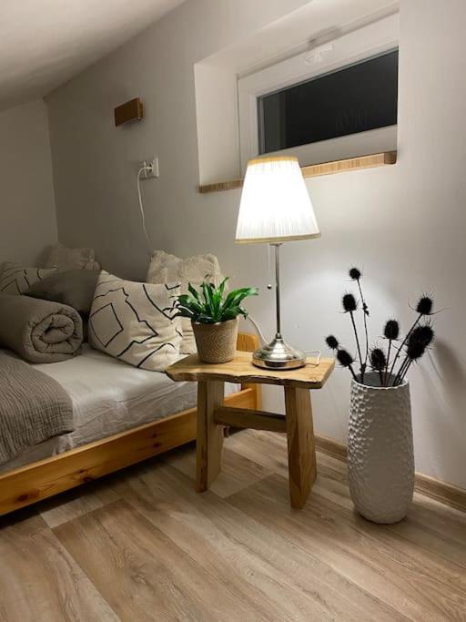 דירות רודניצה נד לבם Garden House מראה חיצוני תמונה